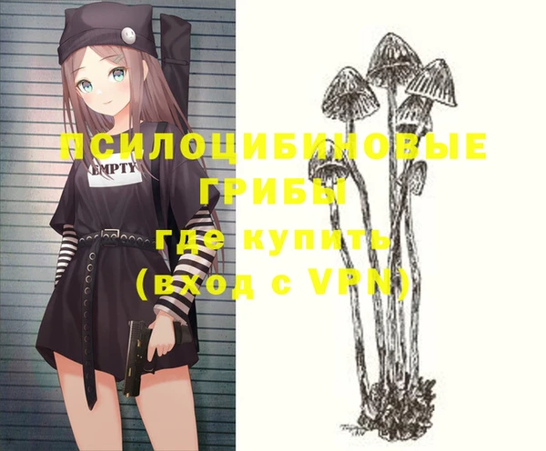 меф Армянск