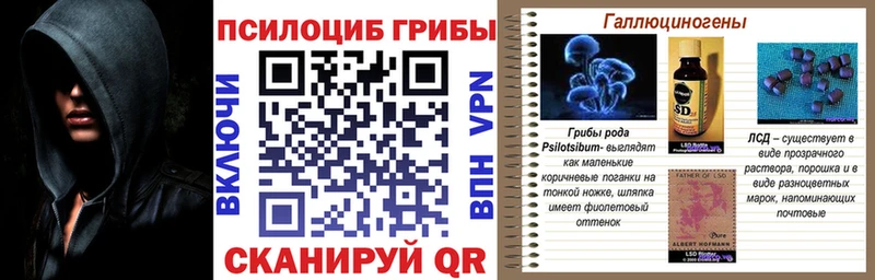 Галлюциногенные грибы прущие грибы  купить закладку  blacksprut онион  Александровск-Сахалинский 